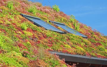 Plas Coch living roof systems